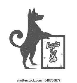 Vintage Illustration fun dog with grunge effect for posters and t-shirts. Funny dog with sign puppies for sale on a white background