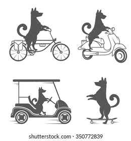 Vintage Illustration fun dog with grunge effect for posters and t-shirts. Funny dog on scooter, golf cart and skateboard