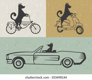 Vintage Illustration fun dog with grunge effect for posters and t-shirts. Funny dog on car, scooter and bike