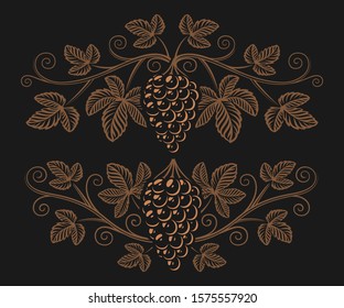 Vintage illustration of a grape branch on the dark background. Design element for alcohol branding.