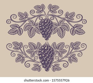 Vintage illustration of a grape branch on the white background. Design element for alcohol branding.