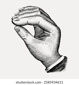 Vintage illustration of a hand in a classic engraving style, showing detailed lines and shading. The hand is in a relaxed, natural pose. Vintage art illustration, vector.