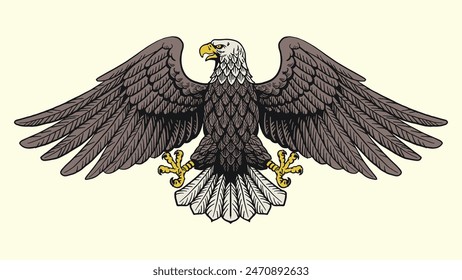 Vintage Illustration Hand Drawn of Bald Eagle Spread the Wings