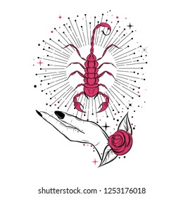 Vintage illustration with hand holding a scorpion. Tattoo art style.