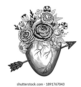 Vintage illustration of heart pierced by an arrow in engraving style with retro flowers. Black and white vector drawing.