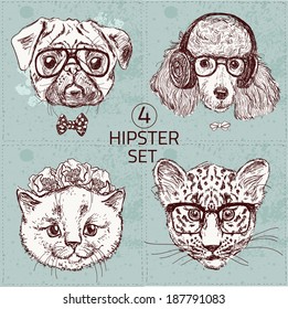 Vintage illustration of hipster animal set with glasses in vector. Set: pug, poodle, cat, leopard