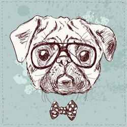Vintage Illustration Of Hipster Pug Dog With Glasses And Bow In Vector On Vintage Background