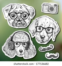 Vintage illustration of hipster puppy with glasses in vector, Sketchy illustration hand drawn, vector object isolated, realistic image