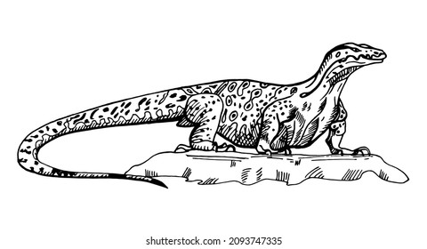 Ilustración vintage del lagarto de monitorado sobre fondo blanco aislado. Un animal de dibujo vectorial de Australia. Vida silvestre de carácter de diseño retro en estilo de grabado.