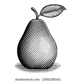 A vintage illustration of an pear on a surface with a leaf and shadow,