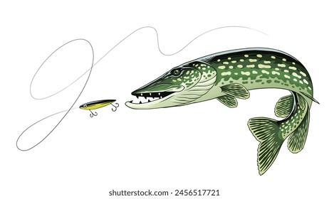 Vintage Illustration of Pike Fish Vector Isolated