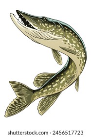 Vintage Illustration of Pike Fish Vector