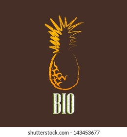 vintage illustration with pineapple
