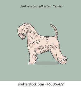 Vintage illustration portrait of one beautiful Soft-coated Wheaten Terrier dog standing on light blue background with text above