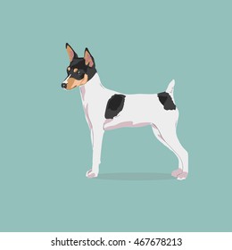 Fox Terrier Vector Stock Vectors Images Vector Art Shutterstock