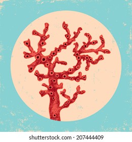 Vintage illustration of a red coral underwater