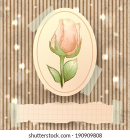 Vintage illustration with rose, vector 