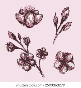 Vintage illustration of sakura branches in black and pink tones on a pastel background. A delicate spring motif for prints, postcards, textiles, and design.