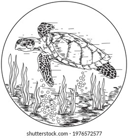 Vintage illustration of a sea turtle and dancing seaweed