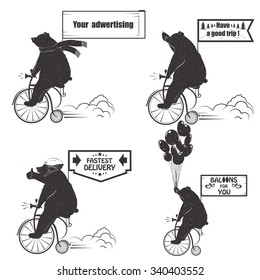 Vintage Illustration Set of bears on a bike with Grunge effect. Funny bear ride a bicycle on a white background for posters, advertising and T-shirts.