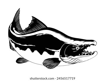 Vintage Illustration of Sockeye Salmon Black and White Isolated