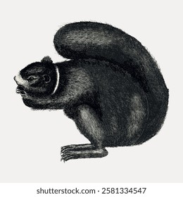 Vintage illustration of a squirrel. Black and white drawing of a squirrel. Squirrel eating, with detailed fur. Classic squirrel art, retro style. Vintage animal illustration isolated on white, vector.