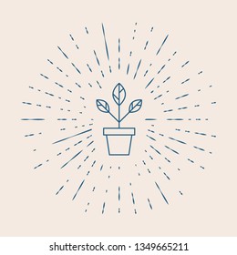 Vintage illustration with sun rays Plant pot concept icon. Flower illustration