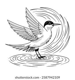 A vintage illustration of tern bird