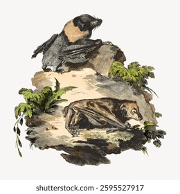 Vintage illustration of two bats resting on rocks surrounded by greenery. Detailed bat illustration, showcasing natural habitat and bat features. Vintage vector illustration.