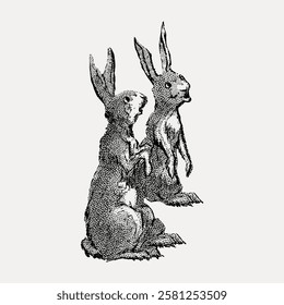 Vintage illustration of two rabbits. Detailed, textured drawing of rabbits. Classic, artistic depiction of rabbits in a sitting pose. Retro rabbit art. Vintage animal illustration isolated, vector.