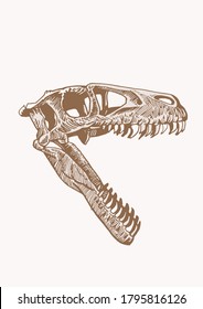 Vintage illustration of tyrannosaurus skull,vector