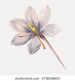 Vintage illustration vector of a delicate flower with soft pastel petals and a detailed stamen, showcasing intricate botanical artistry.