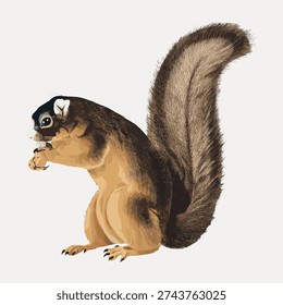 Vintage illustration vector of a squirrel with a bushy tail, depicted in a side profile. The detailed fur texture adds a classic, nostalgic feel.
