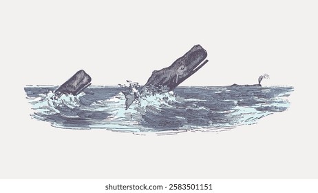 Vintage illustration of a whale breaching the ocean surface. Whale and ocean waves depicted in a classic, artistic style. Whale and ocean theme. Vintage marine life illustration isolated, vector.