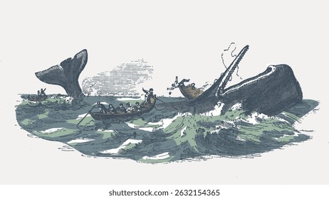 Vintage illustration of a whale hunt at sea. Sailors in boats confront a large whale. Ocean waves, whale, and boats create a dramatic scene. Historic maritime art. Vintage art illustration vector.