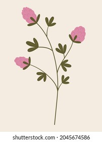 Vintage illustration of wild clover flower. Medicinal herb. Branch with leaves. Botanic vector of forest flora. Hand drawn colorful floral element. Clipart for design and print