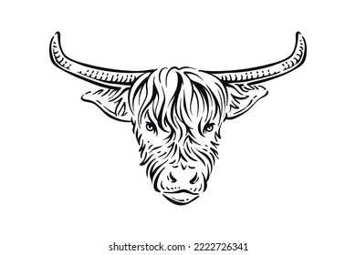 Vintage illustration of yak bison head with huge horn hand drawn vector design