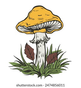 vintage illustration of yellow Chanterelle mushroom surrounded by green grass