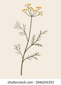 Vintage illustration of yellow wild flower. Medicinal herb. Branch with leaves. Botanic vector of forest flora. Hand drawn colorful floral element. Clipart for design and print