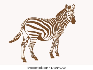 Vintage illustration of zebra, sepia background