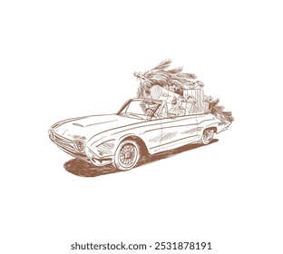 Vintage illustrations of retro car cabriolet with woman driver carries the Christmas tree and gifts. Festive banner photo zone. Hand drawn vector art. 