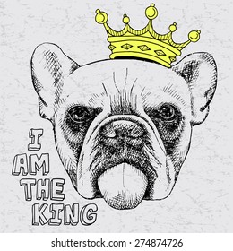 Vintage image of a bulldog wearing a crown. Vector illustration.
