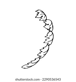 Vintage ink drawing of acanthus leaf