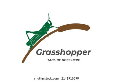 Vintage Insect Grasshopper with Cattail Reed Grass Logo Design Vector