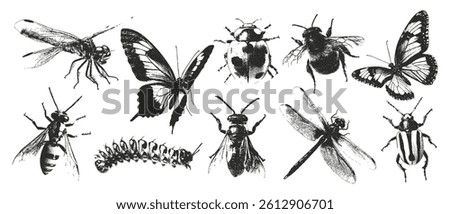 Vintage insect retro photocopy effect. Vector retro butterfly, wasp, bumblebee, dragonfly elements.