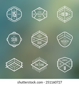 Vintage Insignia set for retro style design. Vector business label, signs, logo, badge, monogram, design elements.