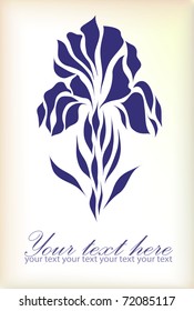 Vintage iris vector hand drawing isolated on pastel background with your text (eps 10)