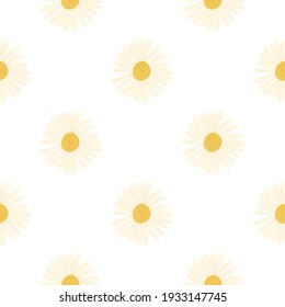 Vintage aislado sin fisuras con adorno de flores rosadas de margarita. Fondo blanco. Impresión de flores. Impresión vectorial plana para textiles, tela, giftwrap, papel pintado. Ilustración sin fin.