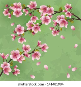 Vintage Japanese background with sakura blossom - Japanese cherry tree. Greeting or invitation card, vector illustration