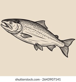 Vintage Japanese Salmon Sketch, Monochrome Line Art
